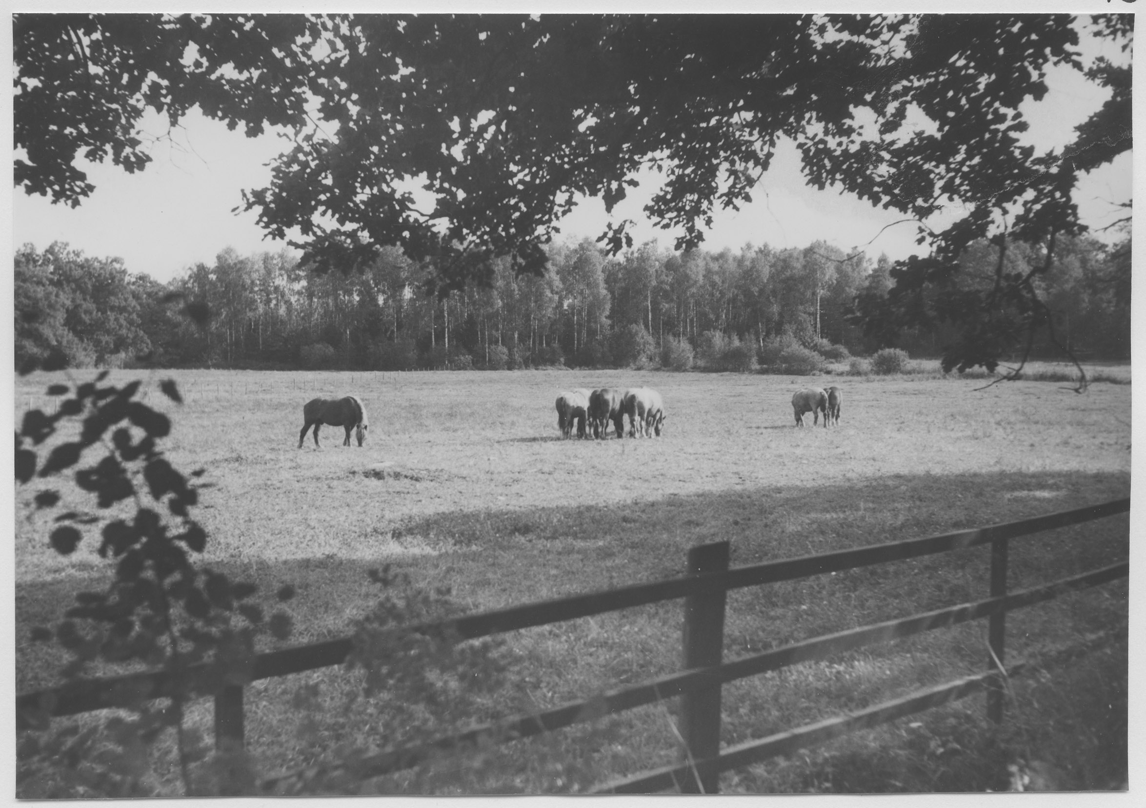 Mårten Sjöbeck, Uddeboö