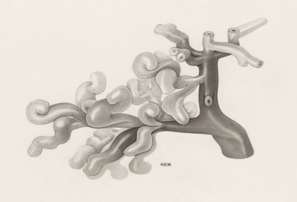 H.G Wetselaar, Circulatory system