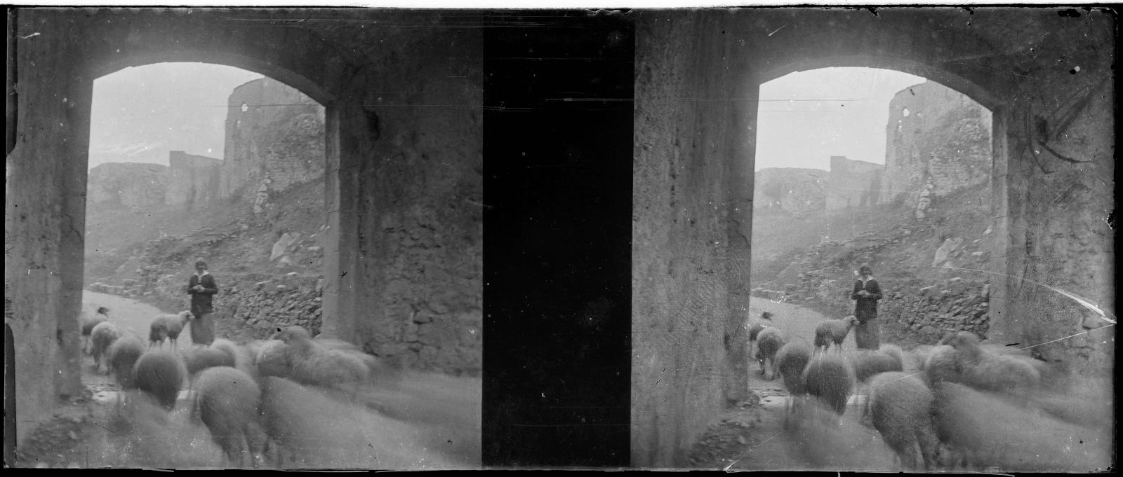 Desconegut, [Ovelles al portal de Sant Cristòfol]