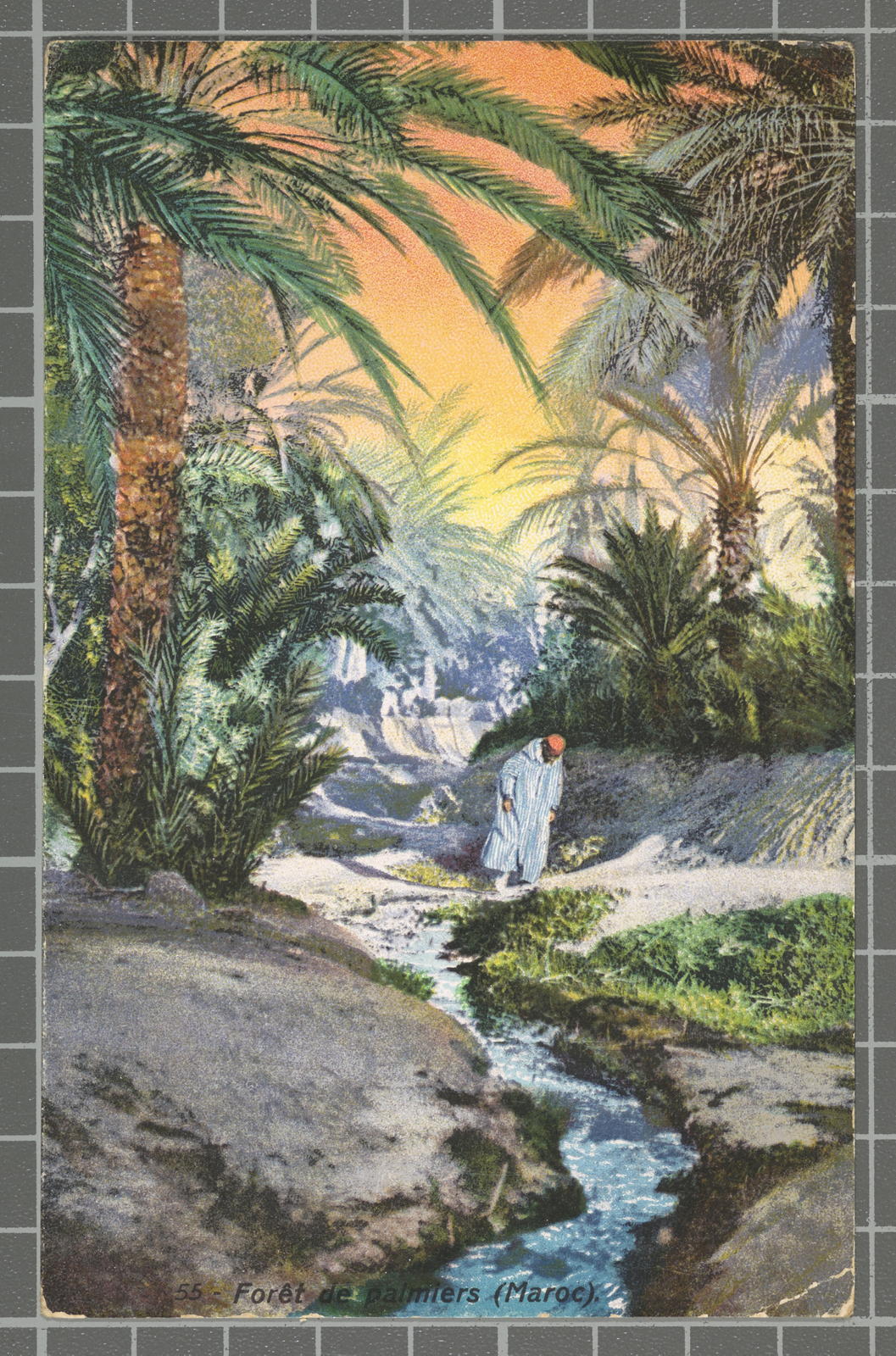 Desconegut, 55 - Forêt de palmiers (Maroc)