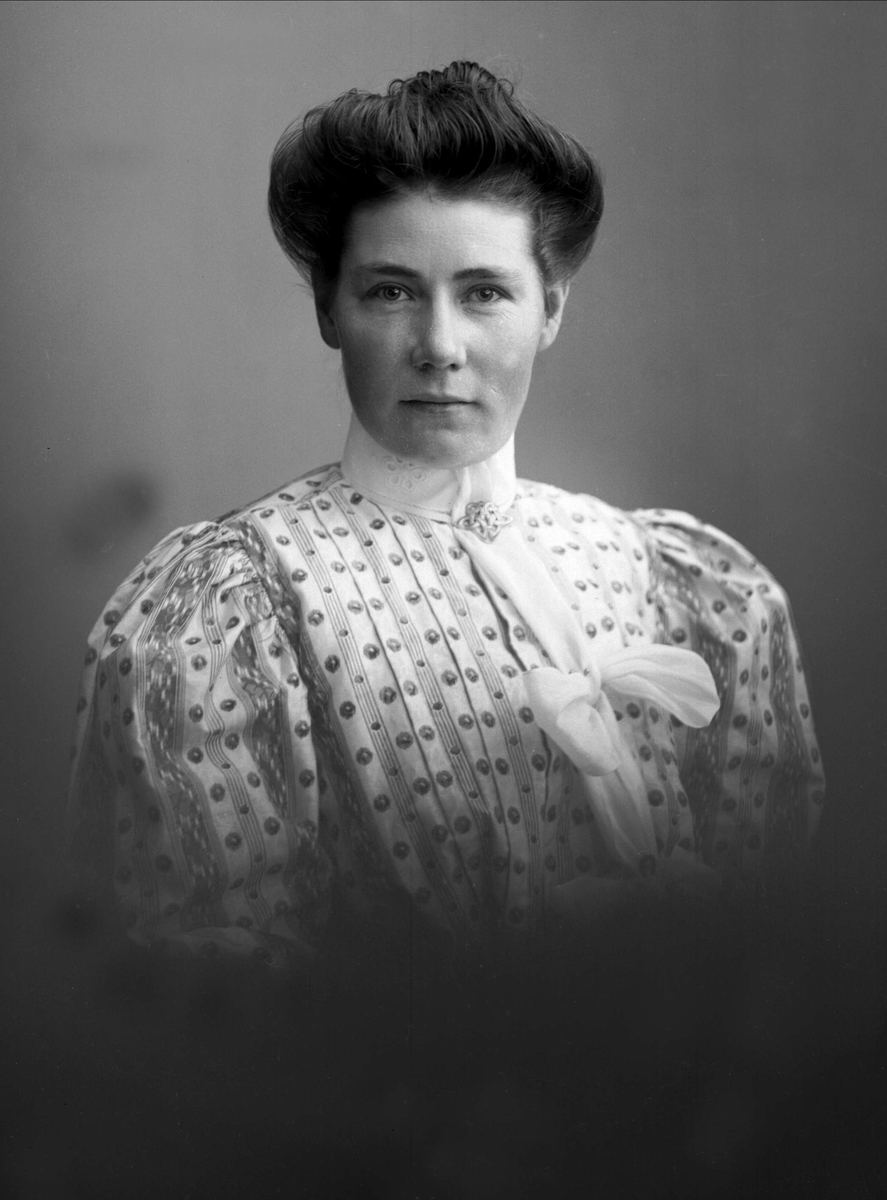 Gustav Borgen, NFB.10617