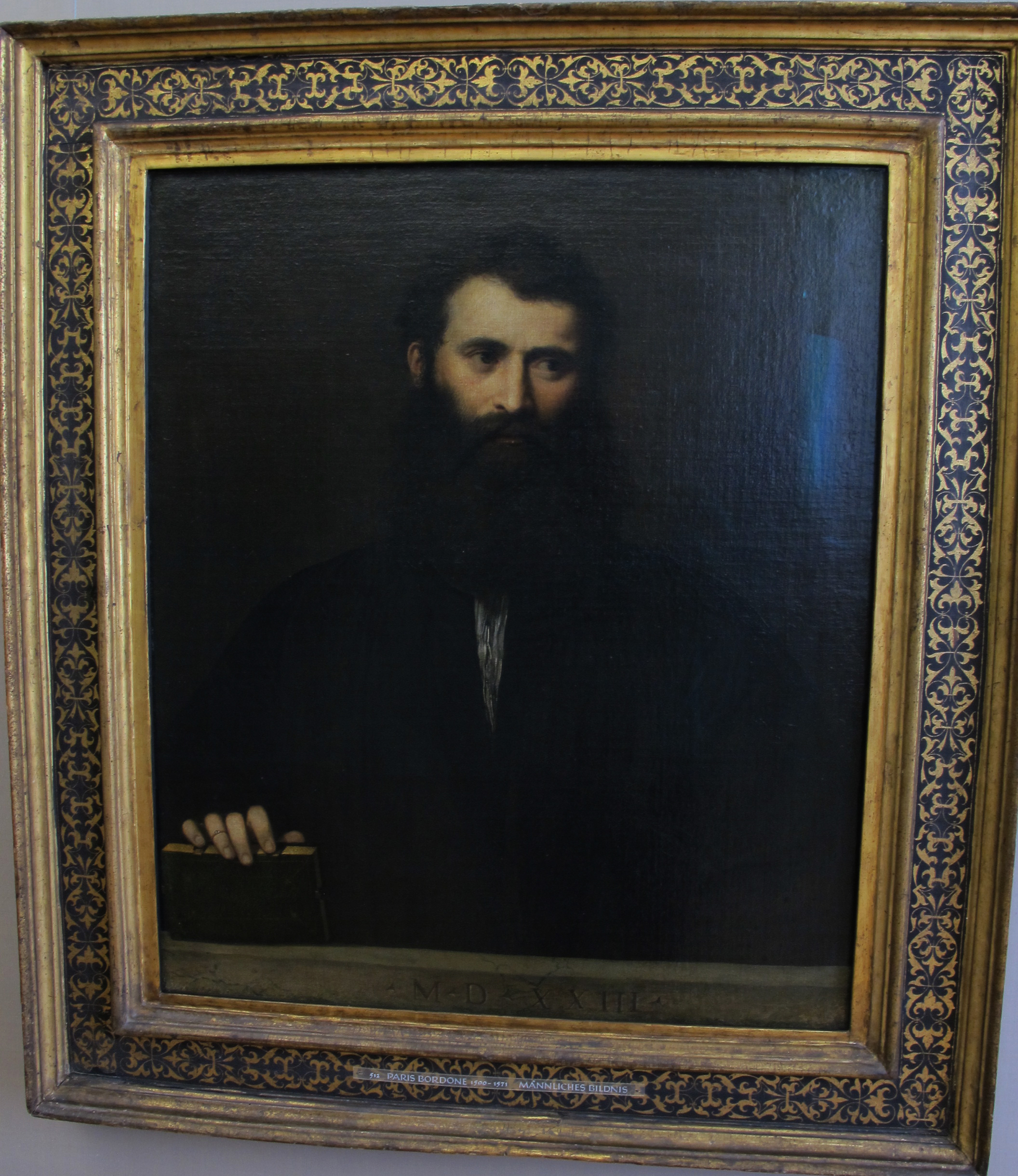 Paris Bordone, Bildnis eines bärtigen Mannes