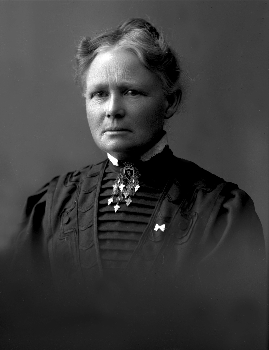 Gustav Borgen, Portrett av folkeskolelærerinne frøken Hanna Morgenstierne.