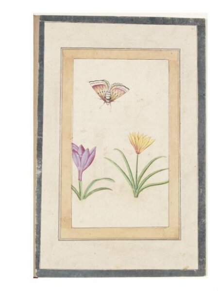 Unknown, Painting