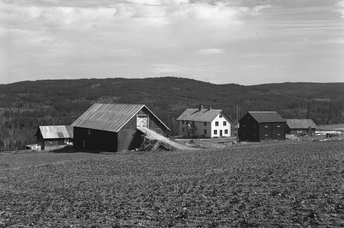 Anno Domkirkeodden, EKSTR: GARDSTUN, NØKLEBY, LØTEN. Se Løtenboka, bind 3. Bygdeboka fra 1955, side 637