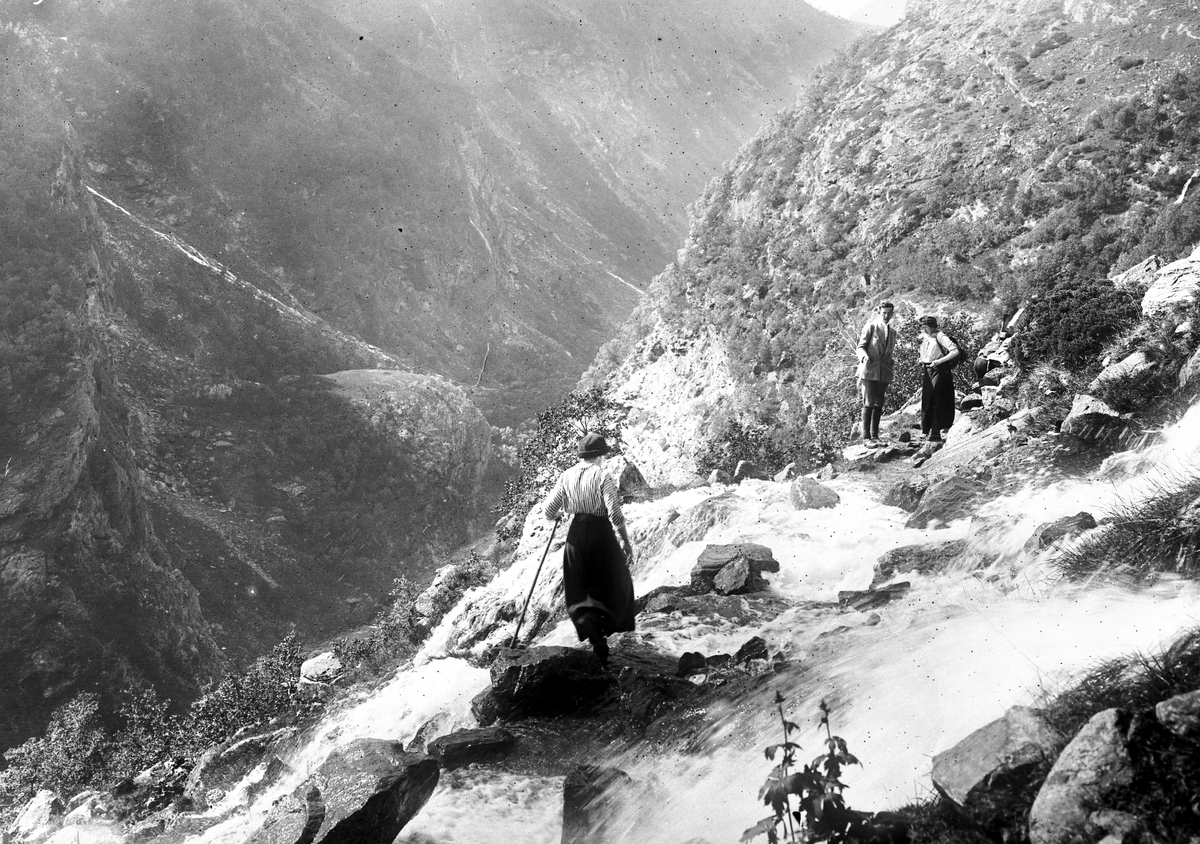Anders Beer Wilse, Prot: Finse Aurland Vadning af Elven