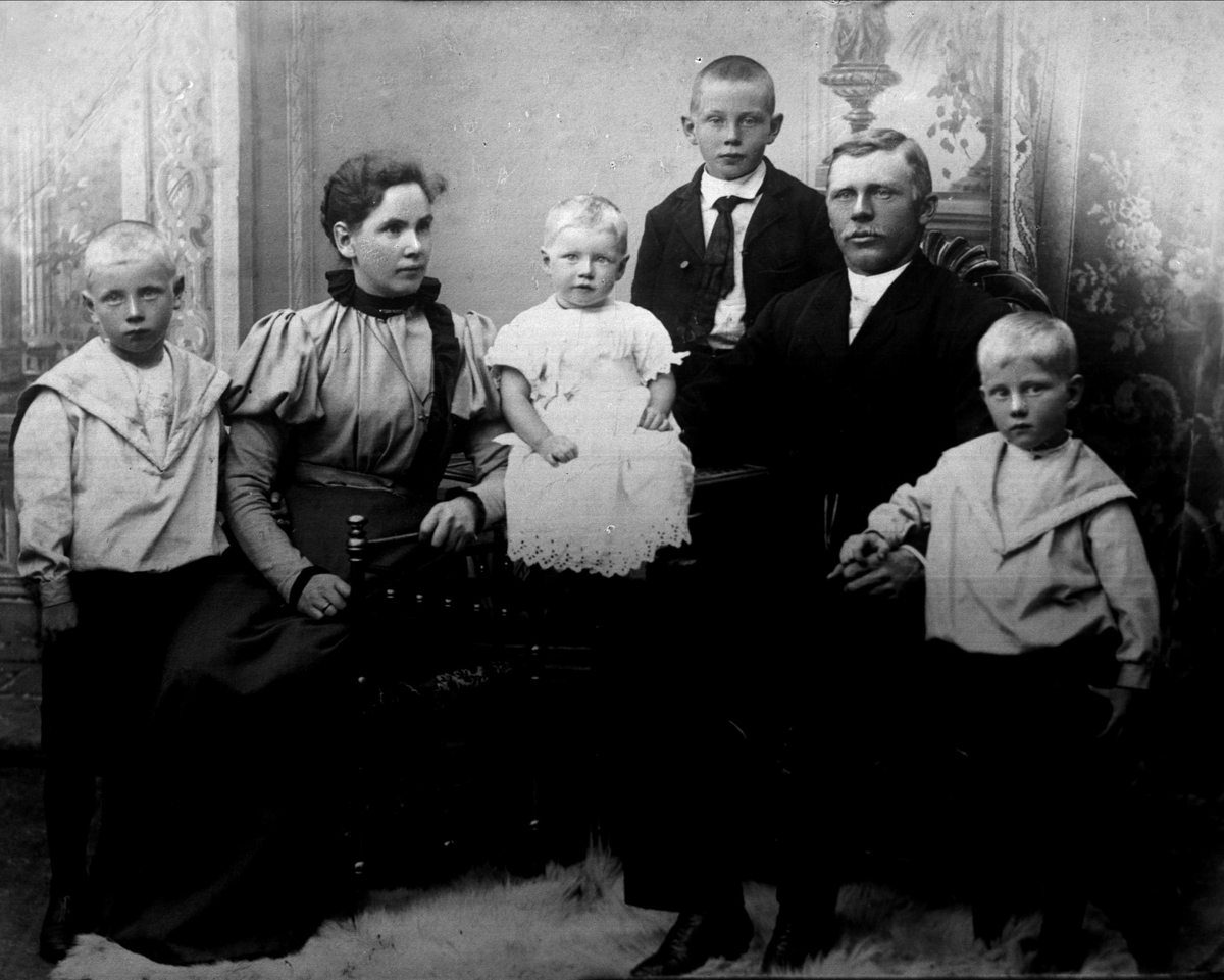 Gustav Borgen, Avfotografering.