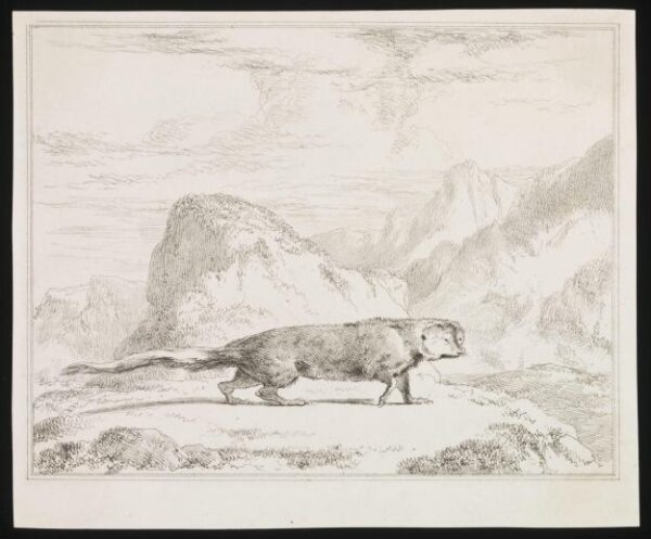 Unknown, Print