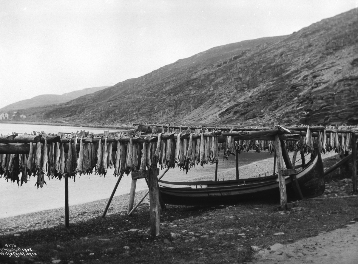 Anders Beer Wilse, Prot: Hammerfest - Stokfisktørkning 2/7 1906