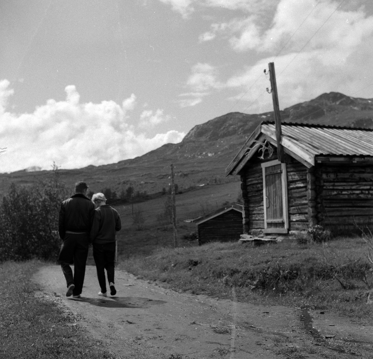 Adolf Skjegstad, ASK-02343