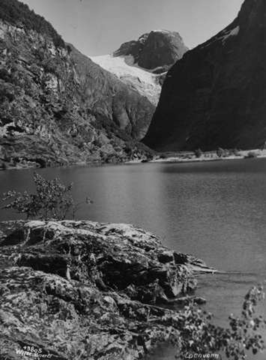 Anders Beer Wilse, -7115