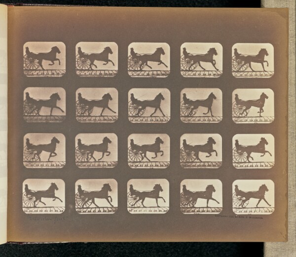 Eadweard J. Muybridge, Irregular Gait