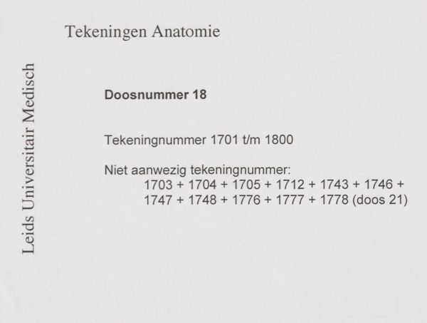 J Tinkelenberg, Musculoskeletal system of the neck, ribs and arm