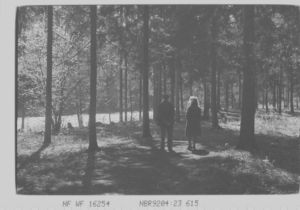 Anders Beer Wilse, Prot: Parken langs elven ved Jar
