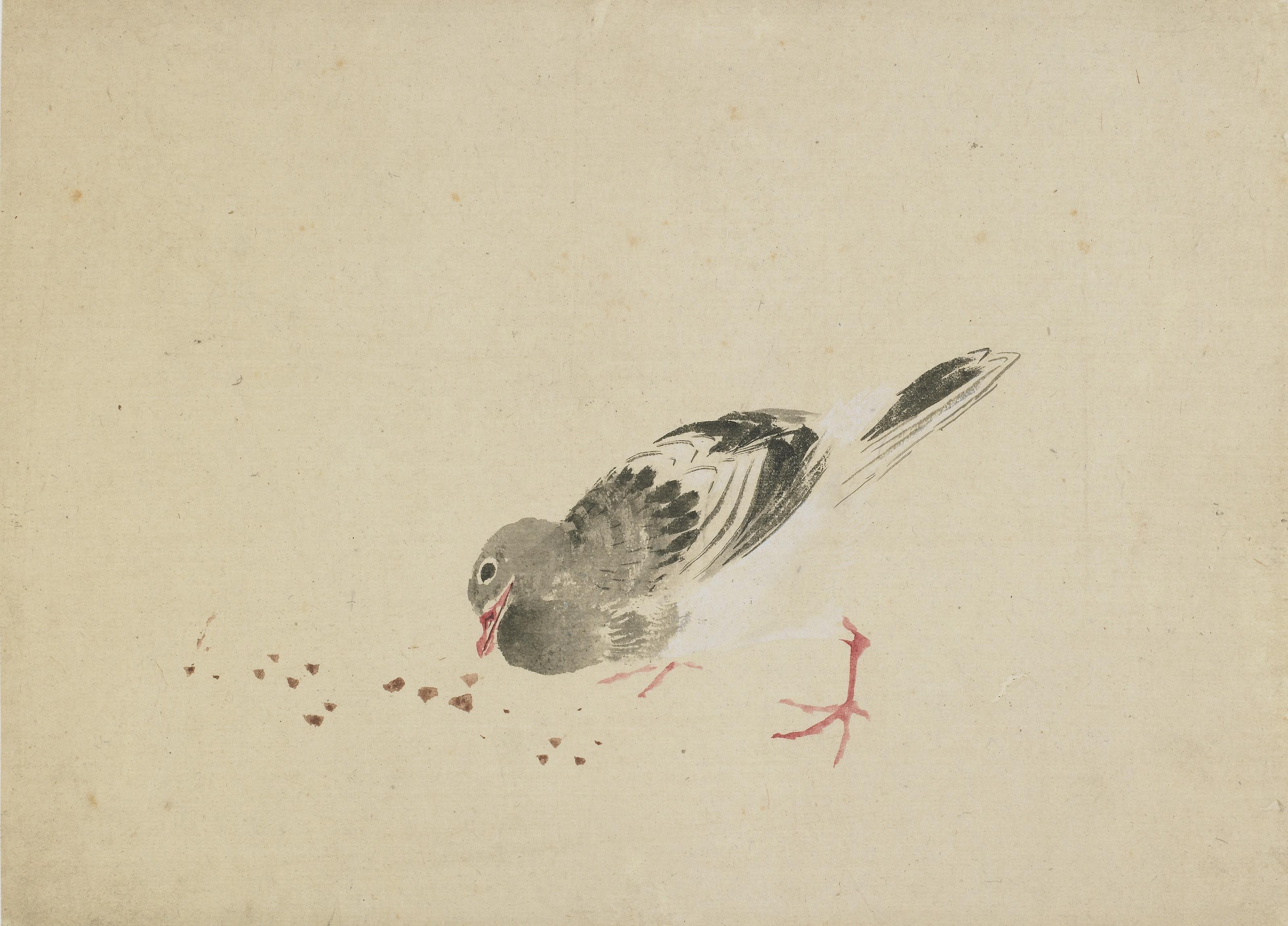 Katsushika Hokusai, Pigeon