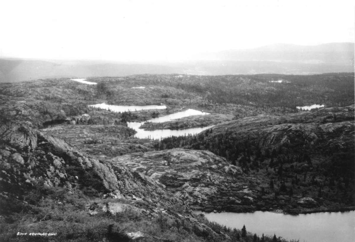 Hermann Christian Neupert, Buskerud ved Kongsberg. 1930. Oversiktsbilde over skog og fjellområde. Vann.