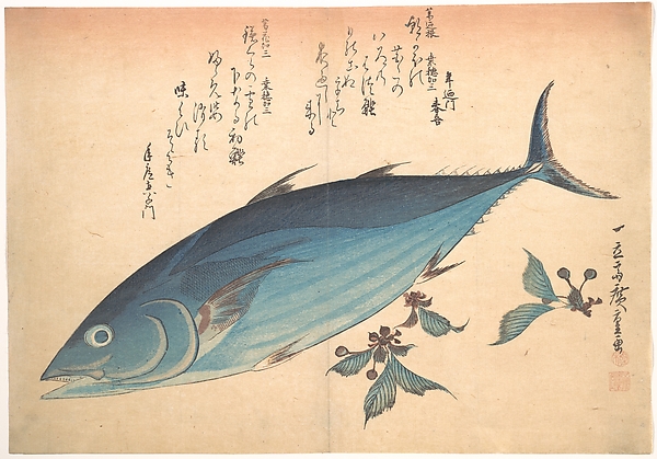 Utagawa Hiroshige, Katsuo Fish with Cherry Buds, from the series Uozukushi (Every Variety of Fish)