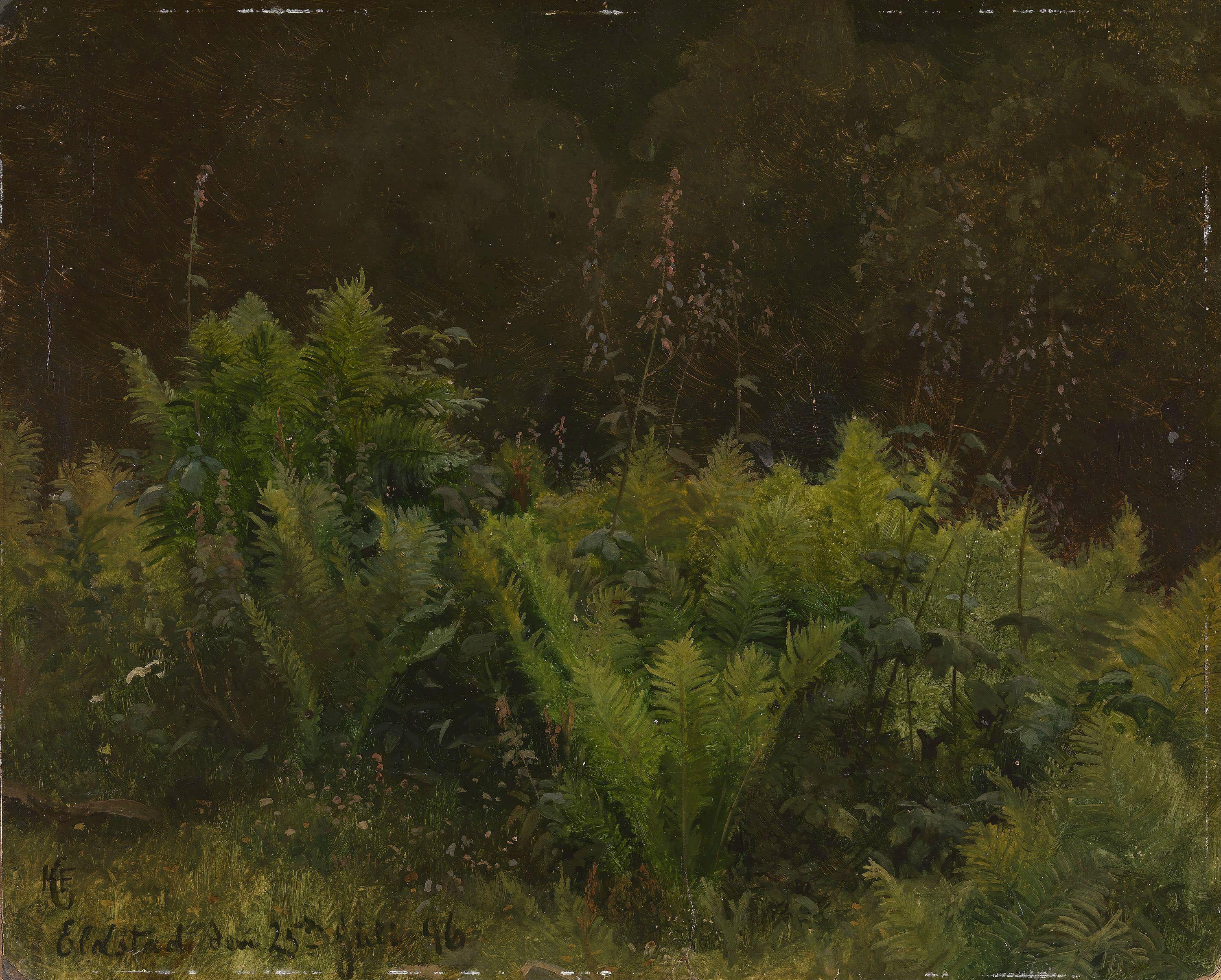 Hans Gude, Study of Ferns