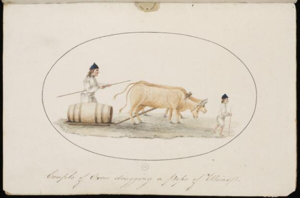 Unknown, Costume of Madeira, 1805