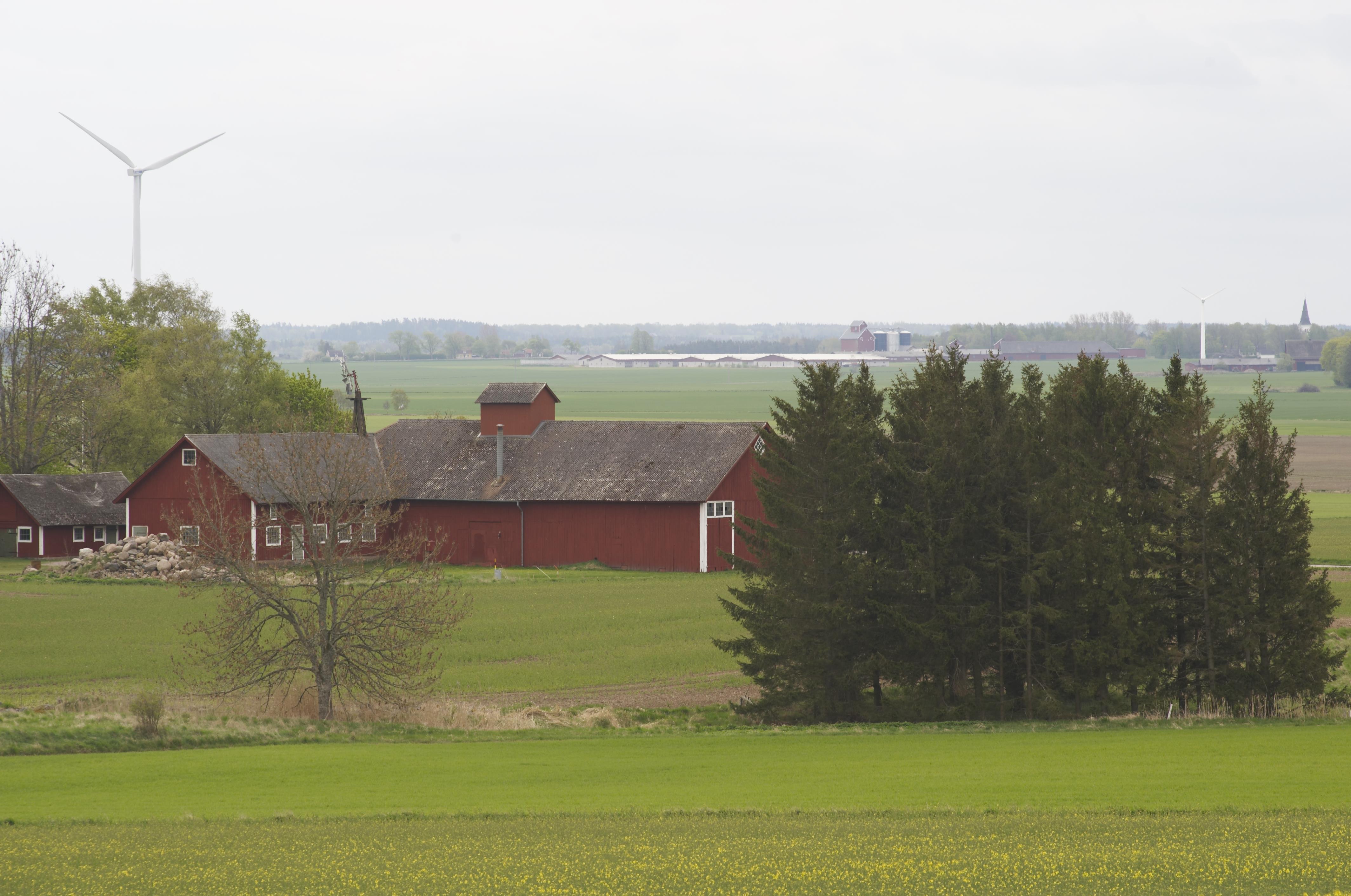 Bengt A Lundberg, Hovsnäs