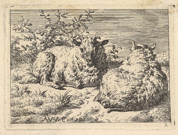 Adriaen van de Velde, Two Recumbent Sheep