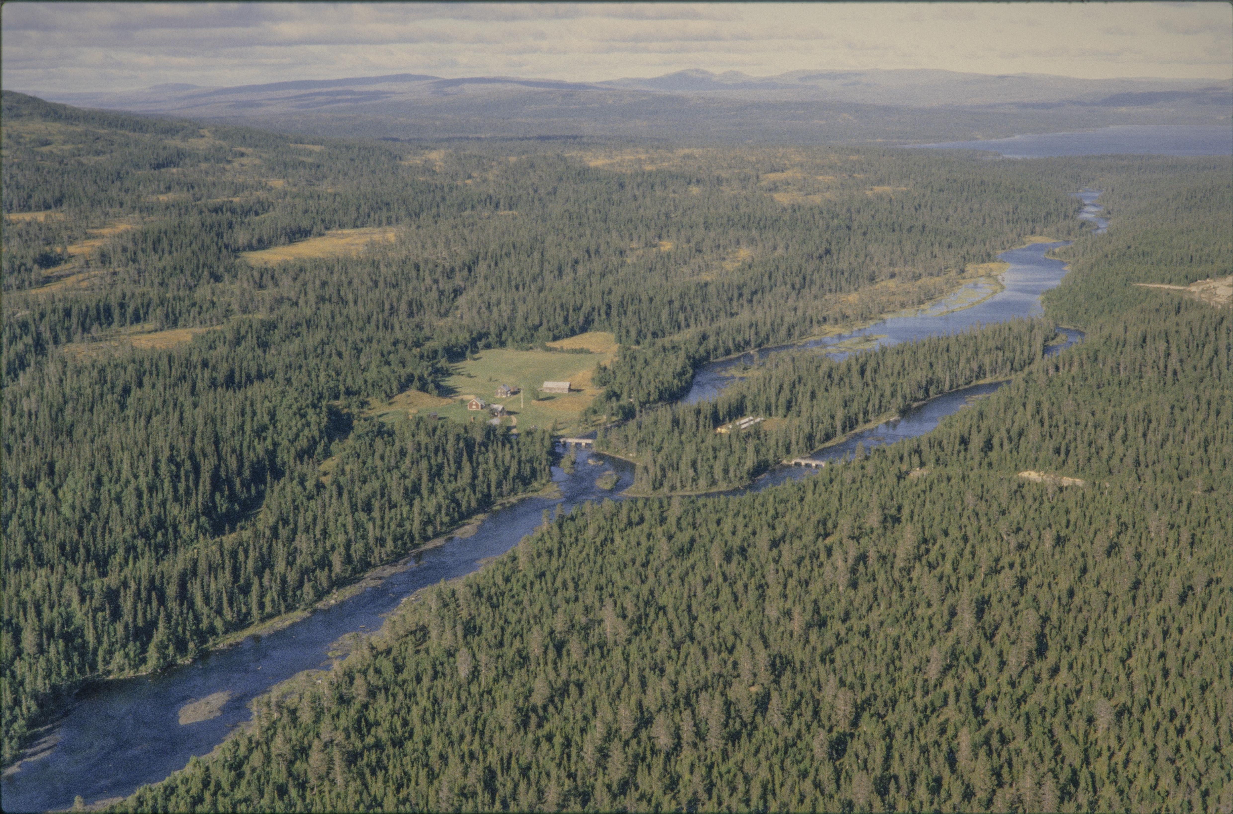 Jan Norrman, Kall 445:1