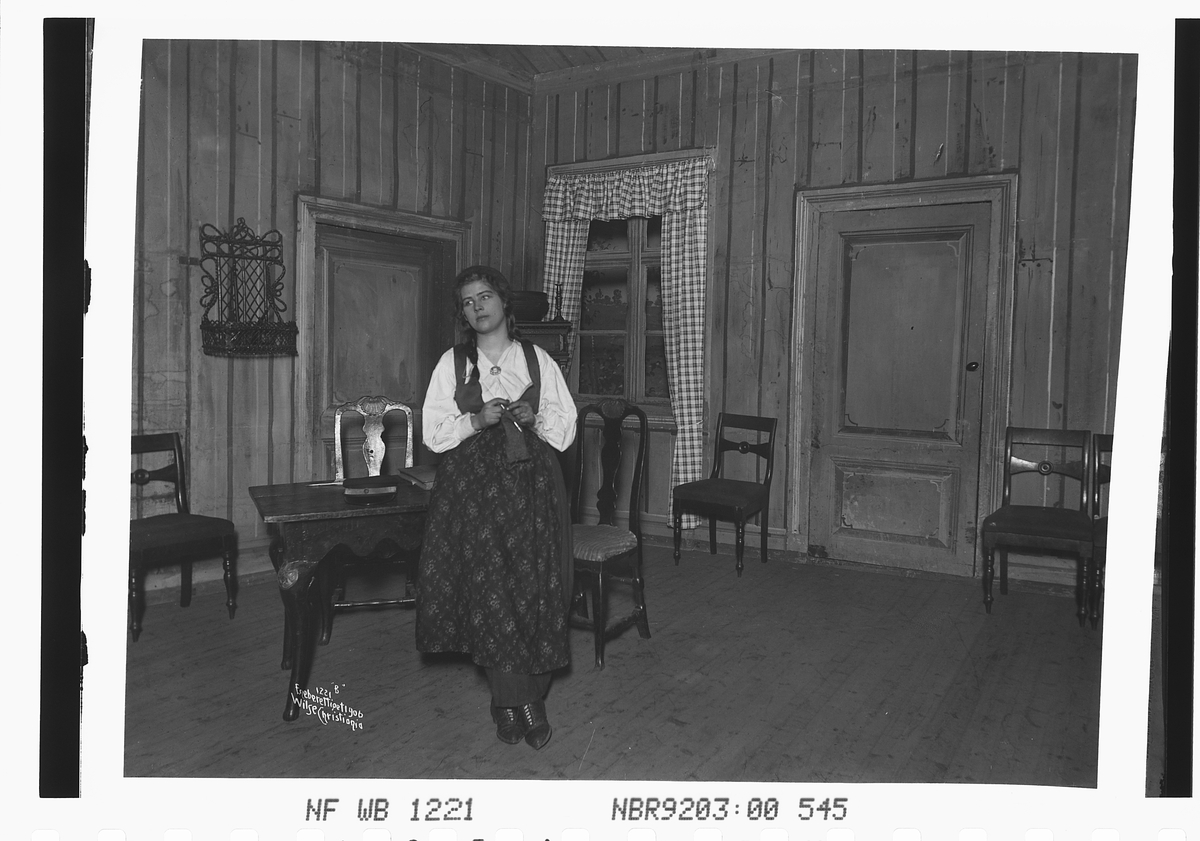 Anders Beer Wilse, Prot: Fjeldeventyr - Central Ragnhild, frk Andersen