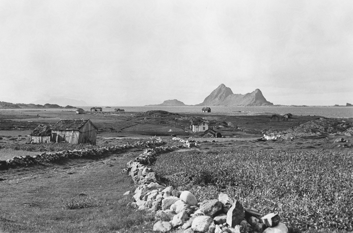 Anders Beer Wilse, Prot: Grimstadsjöen. Langöen