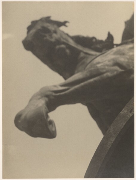 Pierre Dubreuil, Horse