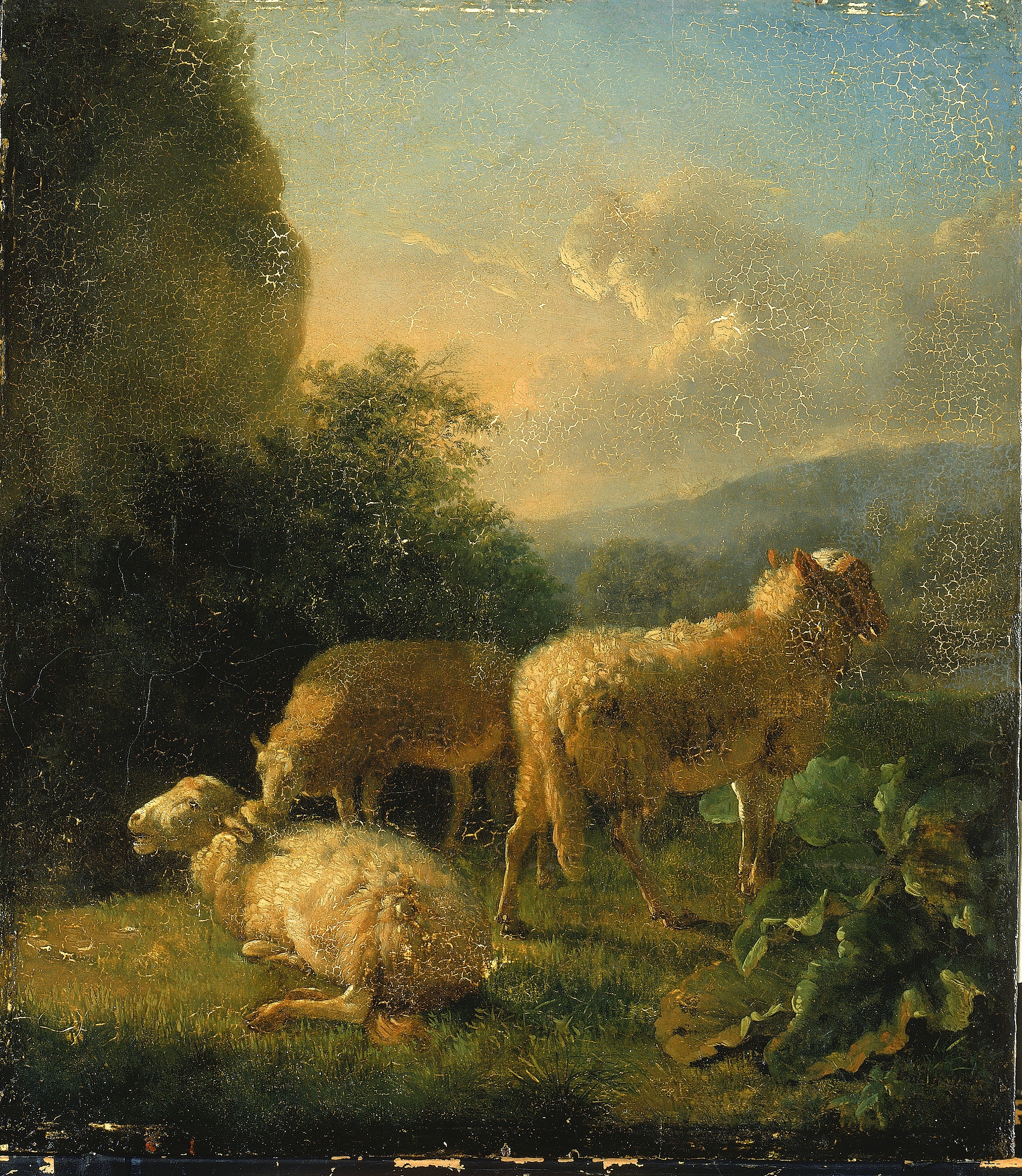 Balthasar Paul Ommeganck, Sheep