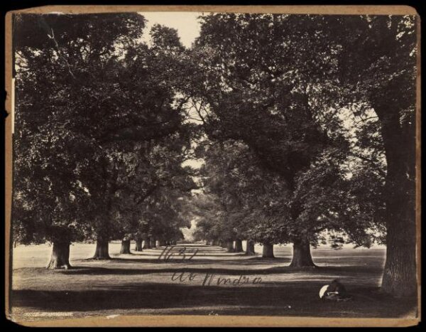 Francis Frith, Photograph