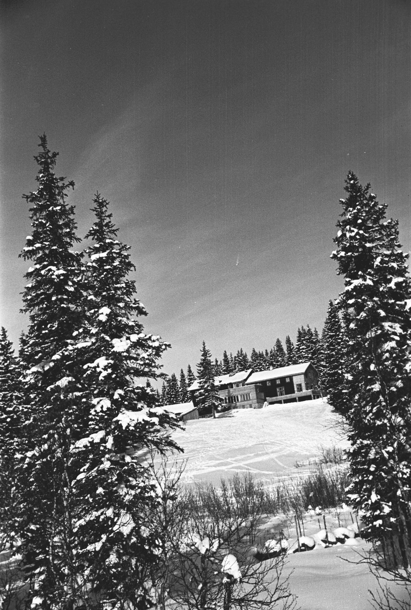 Anders Beer Wilse, Prot: Ringkollen Hotel