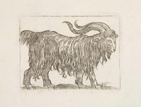 Unknown, Print