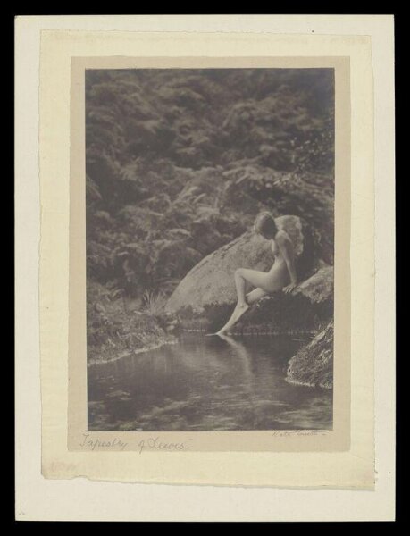 Smith, Kate, Tapestry of Leaves