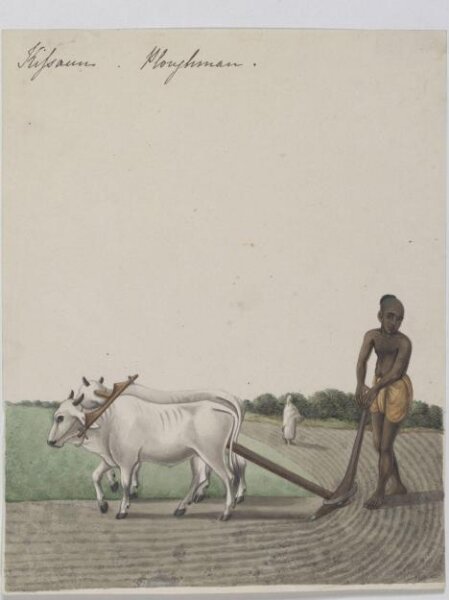 Unknown, A cultivator
