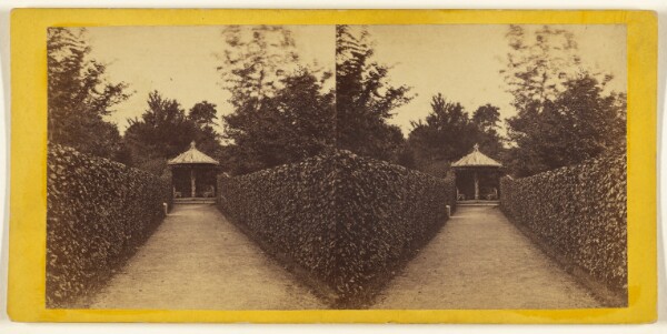 Edward and Henry T. Anthony & Co., Central Park. (New York.) Flirtation Walk Near The Reservoir.