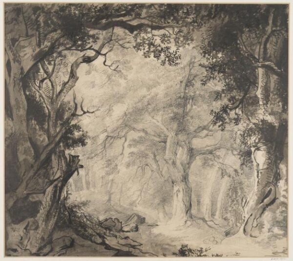 Unknown, Drawing