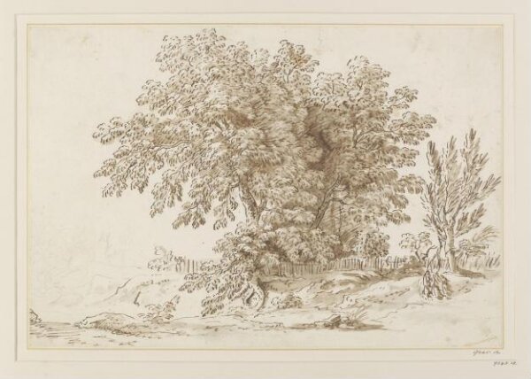 Unknown, Drawing
