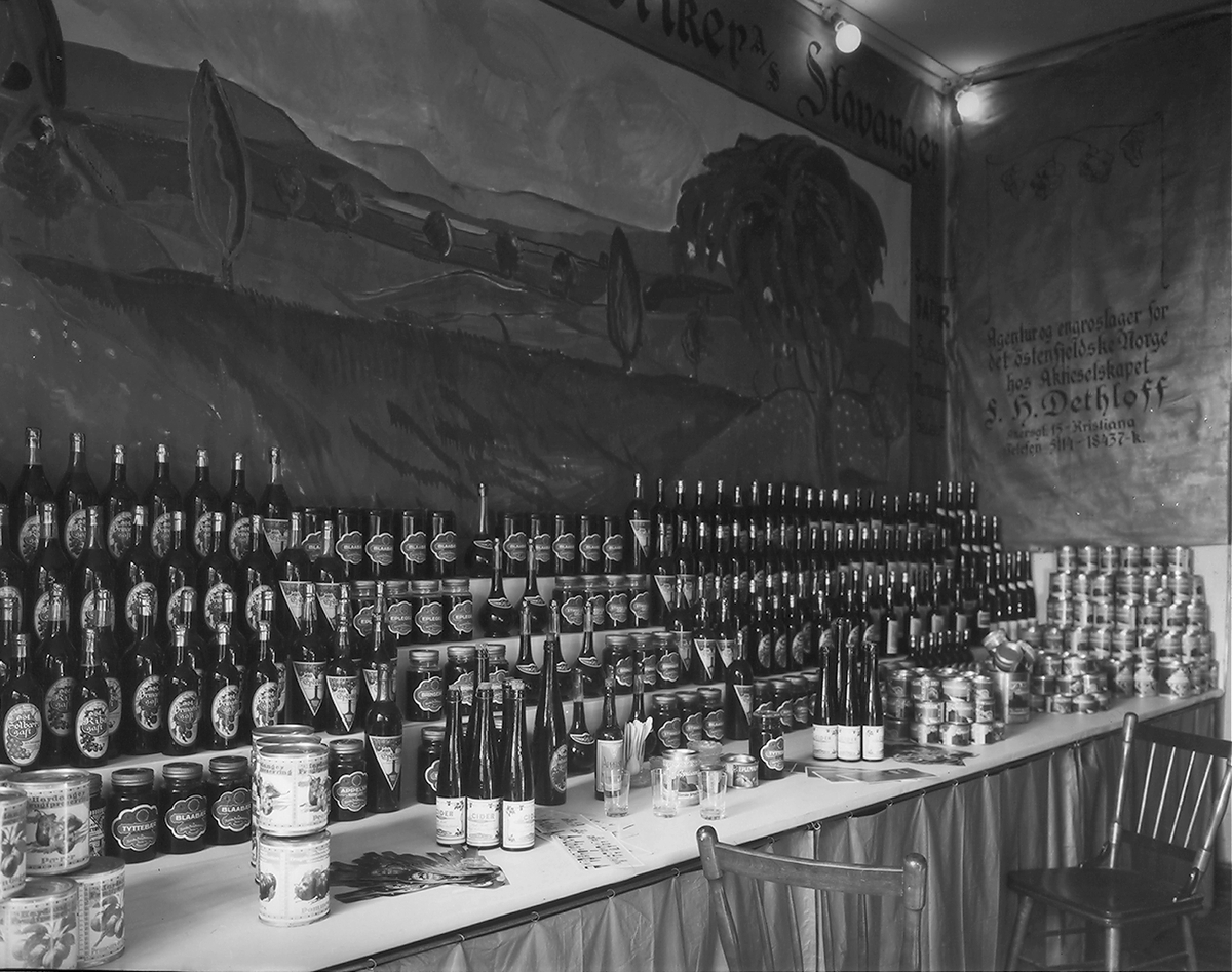 Anders Beer Wilse, Prot: Dethloff Varemesse