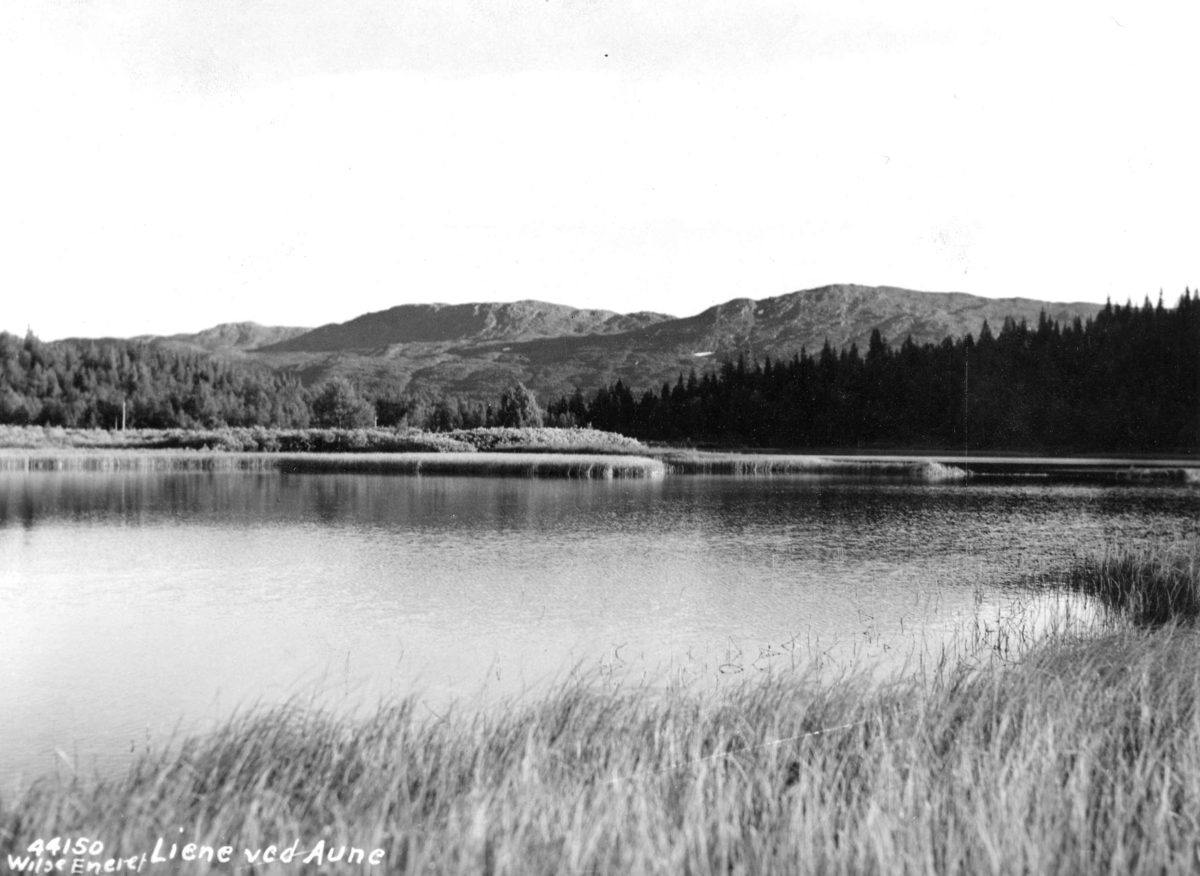 Anders Beer Wilse, Topografi