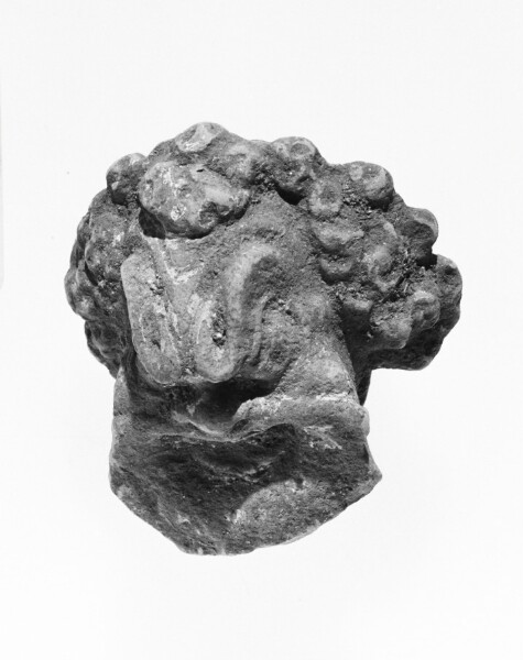 Unknown, Head of a Comic Actor