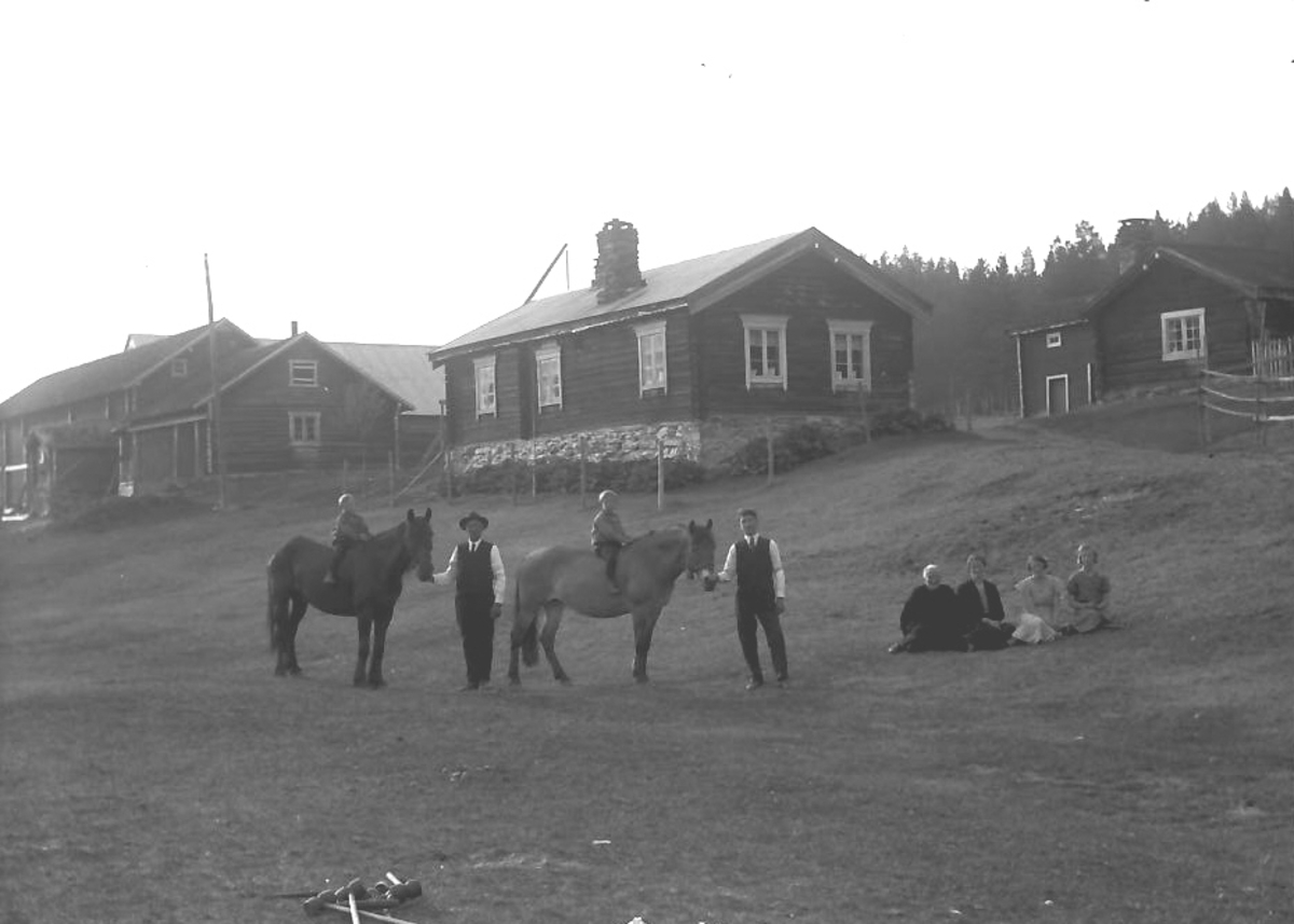 Per K. Lien, Hus, folk, hester.