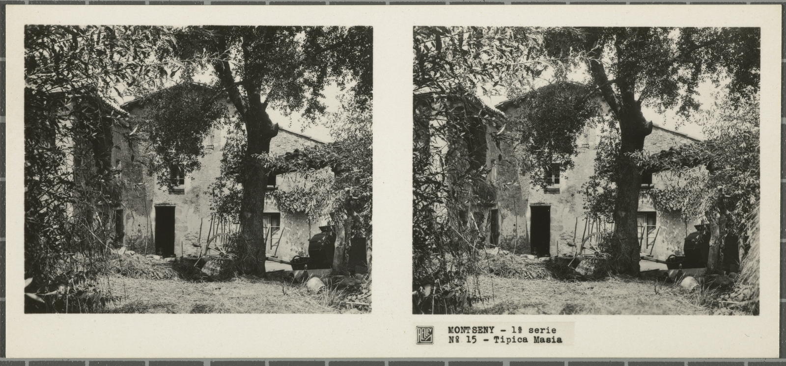 Desconegut, Montseny (Barcelona-Gerona)
