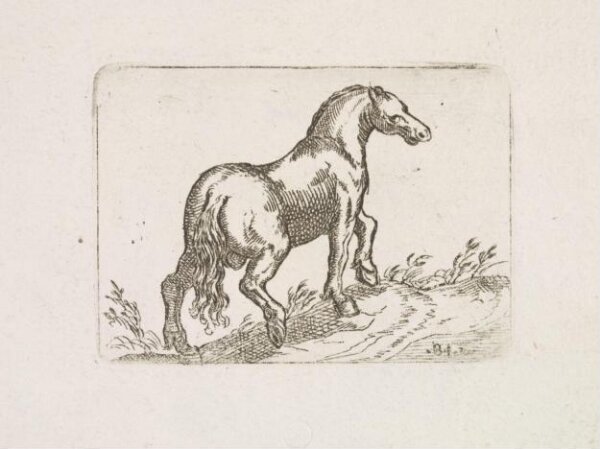 Unknown, Print