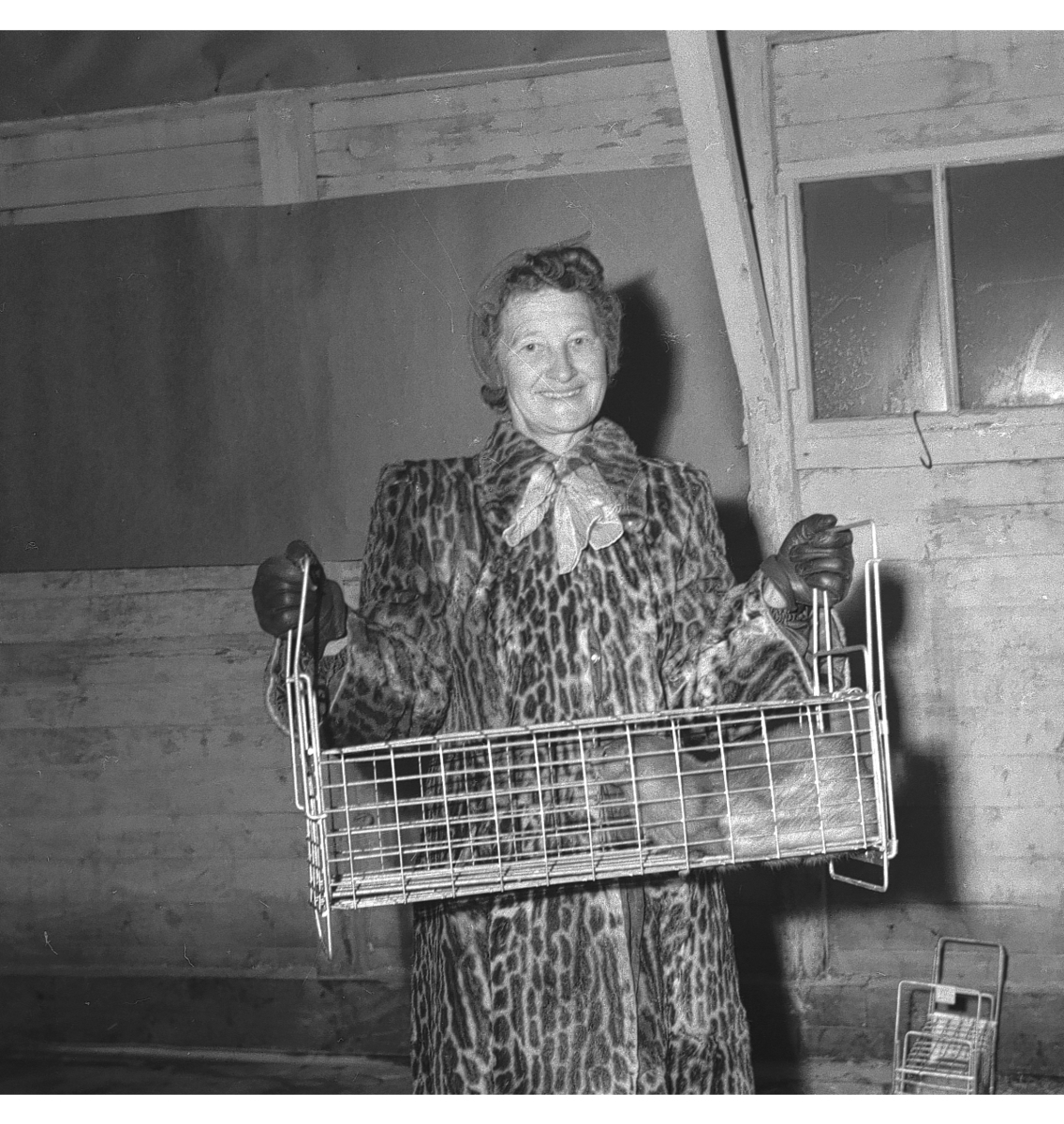 Per Magne Grue, Mink-utstilling, Tynset 1958.