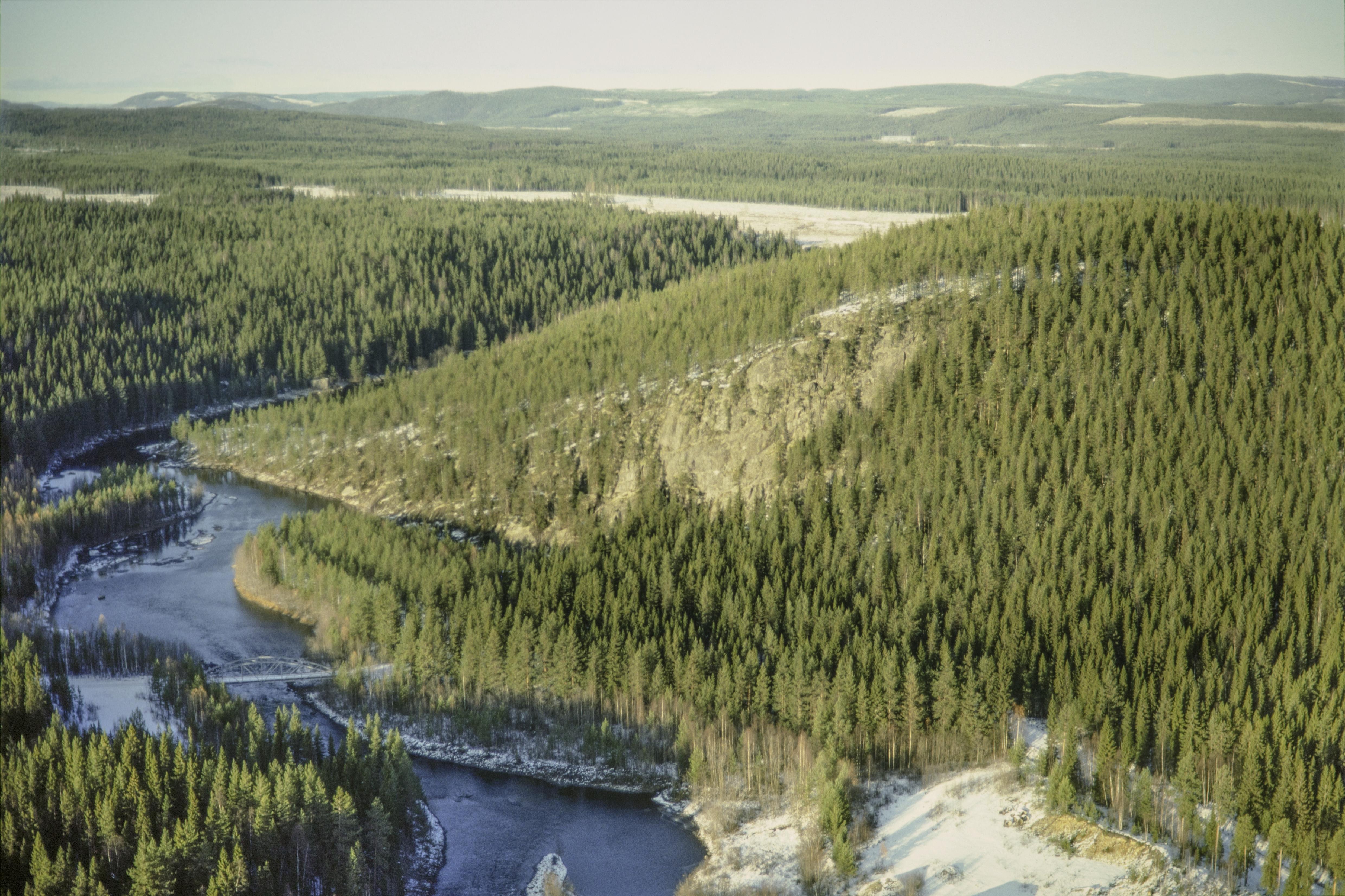 Jan Norrman, Fjällsjö 191:1