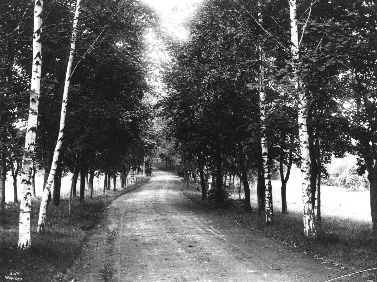 Anders Beer Wilse, Skøyen hovedgård, Oslo 1903. Alleen.