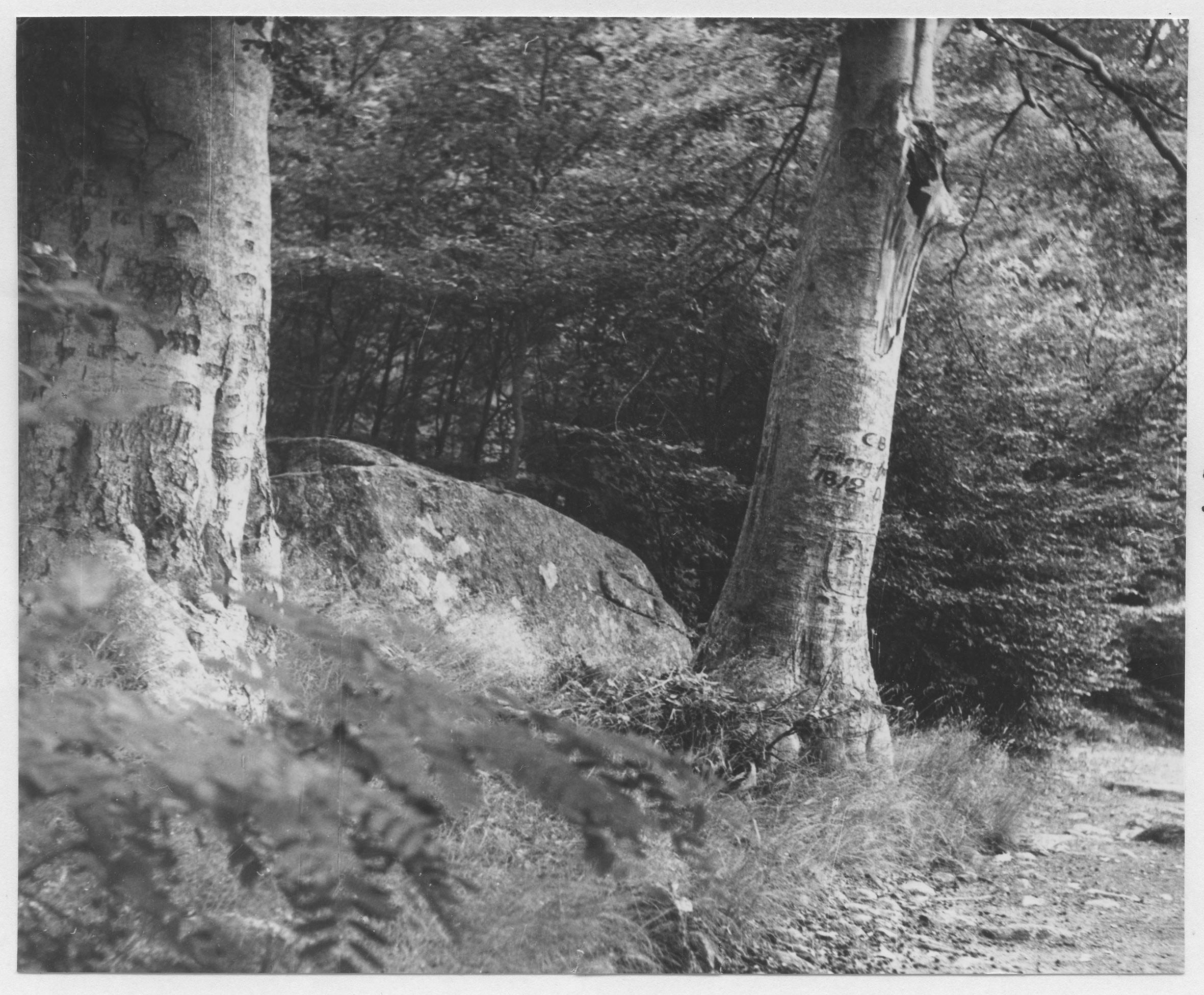 Mårten Sjöbeck, Skärva