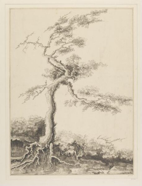 Unknown, Drawing