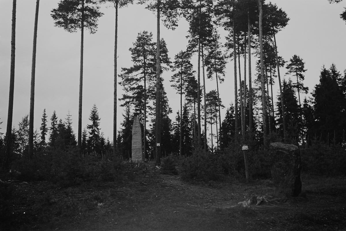 Anders Beer Wilse, Prot: Trangen